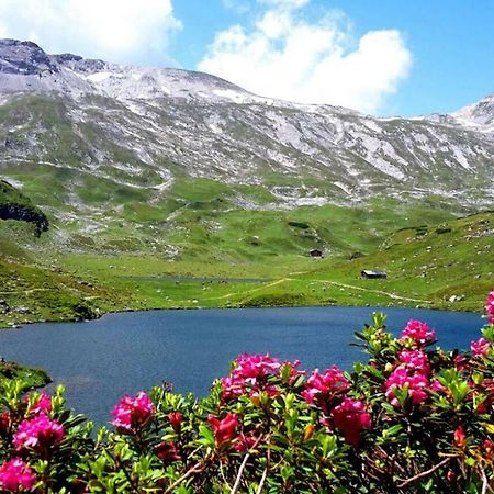 Appartement Luca Schladming Dış mekan fotoğraf